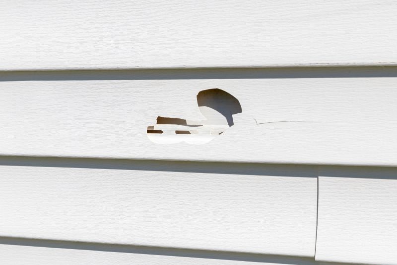 Vinyl Siding Repair Expert